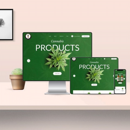 You are currently viewing How Do I Start and Operate a Successful Online CBD Store?