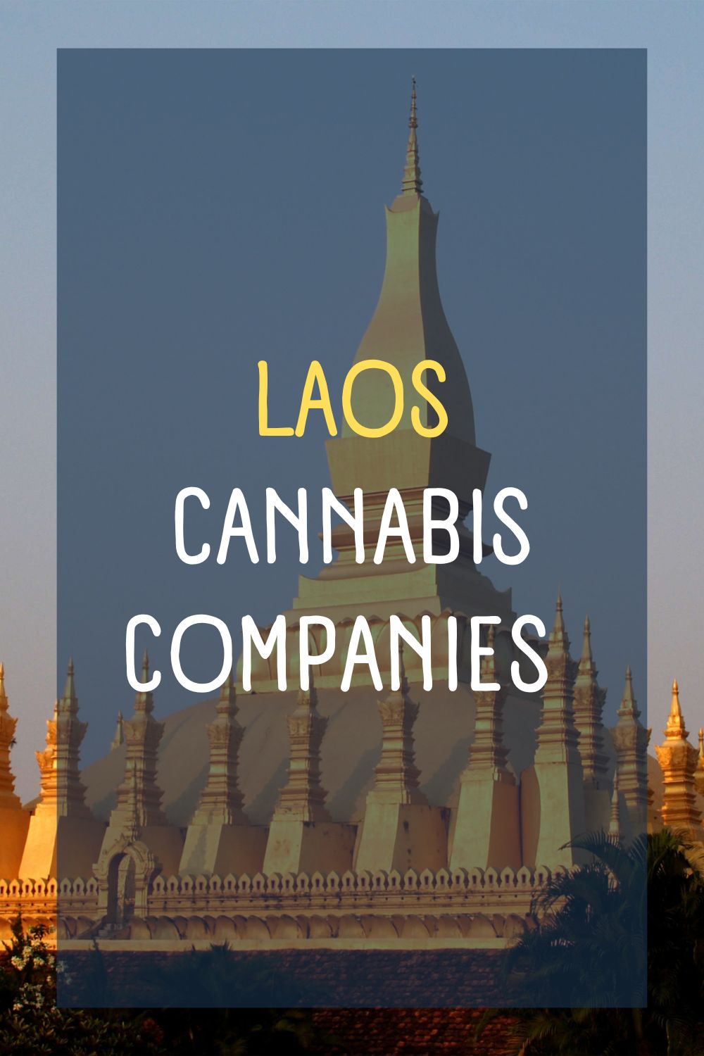 You are currently viewing Top Cannabis Companies Near Me | Laos