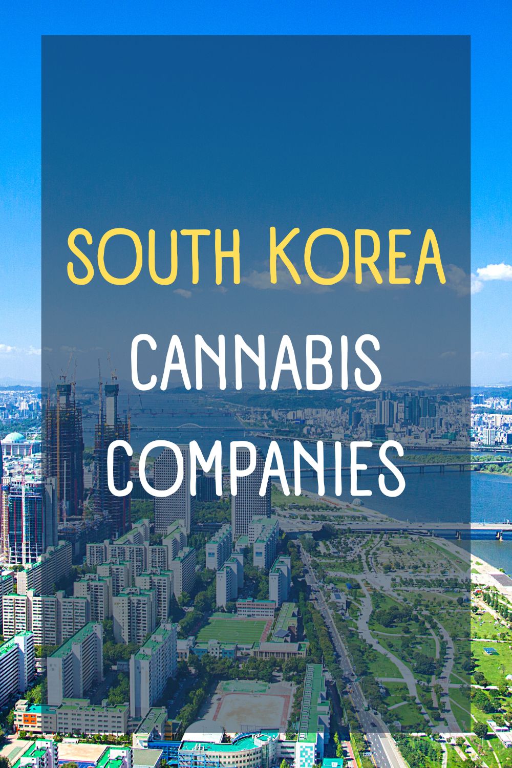 You are currently viewing List of Top Cannabis Companies in South Korea